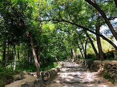 -阳台山自然风景区