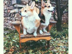 -北京山里寒舍度假酒店