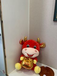 -郑荃丽格医疗美容