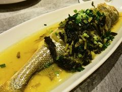 -老绍兴养和饭店(向阳不夜城店)