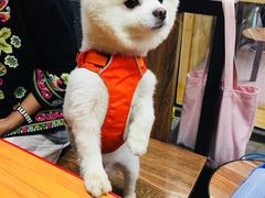 -东三里屯豌杂面