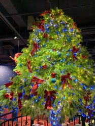 -幻贝家儿童乐园(苏州中心店)