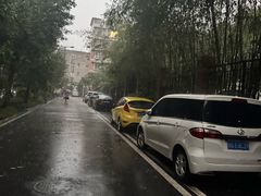 -成都市活水公园