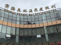 -宁海森林温泉