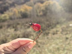 -灵山