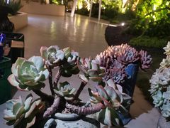 -悦见花开·花园里的火锅·露营·下午茶