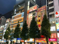 -秋叶原电器街