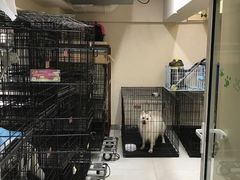 -多卡布奇宠物生活馆(上林世家店)