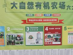 -大自然农场蔬菜草莓采摘园