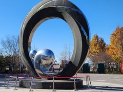 -大兴滨河森林公园