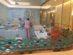-莉泽月子中心(凯旋江景店)