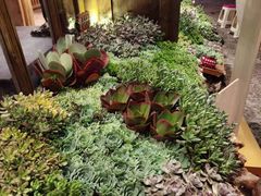 -木王宴语·野生鲜菌火锅(玉河店)