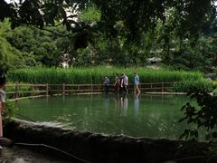 -成都市活水公园