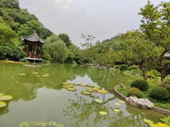 -云溪植物园