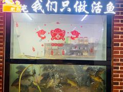 -肥鱼屯活鱼锅(惠工街店)
