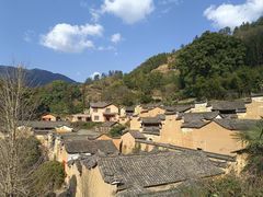 -杨家堂村