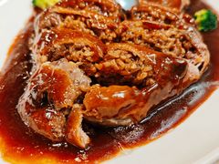 -丁老爷子苏香圆