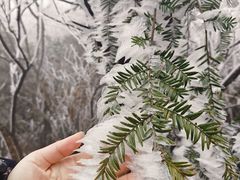 -南岳衡山风景名胜区