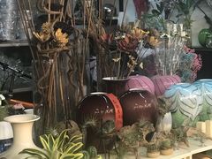-双季花艺园艺市场(浦东店)