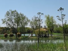 -暨阳湖生态园