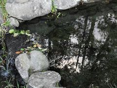 -瑞穗牧场