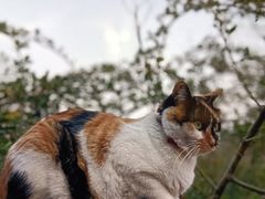 -BUND·FIVE外滩5号(天际店)