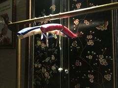 -樱蘭·影院足道·养生SPA(三里屯店)