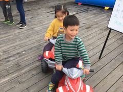 -田园东方蜜桃村的田野营地