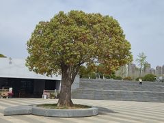 -云龙湖旅游景区