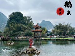 -靖西鹅泉风景区
