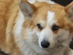 -肥朵食堂(带梦胡同店)