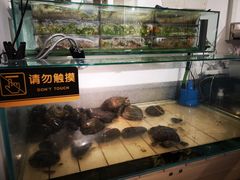 -甜心闲生传统手工冰粉(奎星楼店)