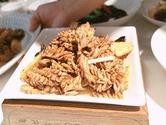 -梅飞酒家(桑园路店)