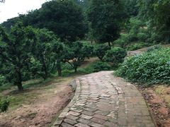 -南国桃园旅游度假区