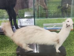 -郑州自然博物馆(惠济区)