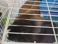 -呼吸森林·生态农庄农家乐私房菜