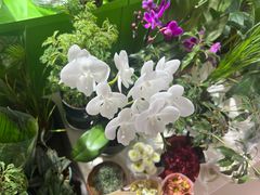 -北京华联生活超市(北京常营店)