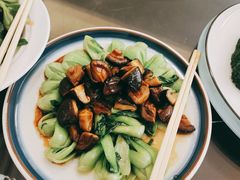 -中苑海韵