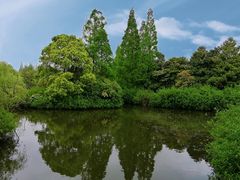 -上海滨江森林公园