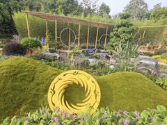 -深圳仙湖植物园