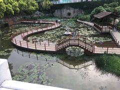 -珠海圆明新园