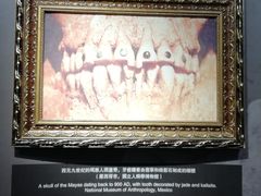 -四川大学华西口腔医院(华西院区)