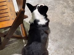 -自由生长植物工作室(深港花卉中心店)