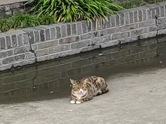 -高旻寺