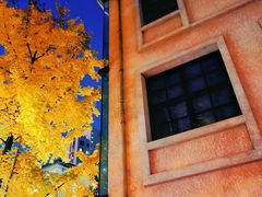 -徐家汇源景区-衡山坊