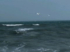 -老虎石海上公园