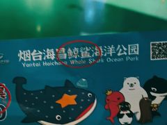 -烟台海昌鲸鲨海洋公园