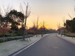 -上海怡沁园度假酒店