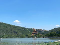 -顺峰山公园