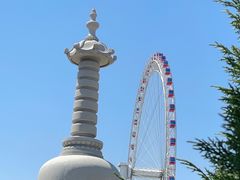 -天津大悲禅院